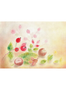 Seccorell Postcard - rose hips