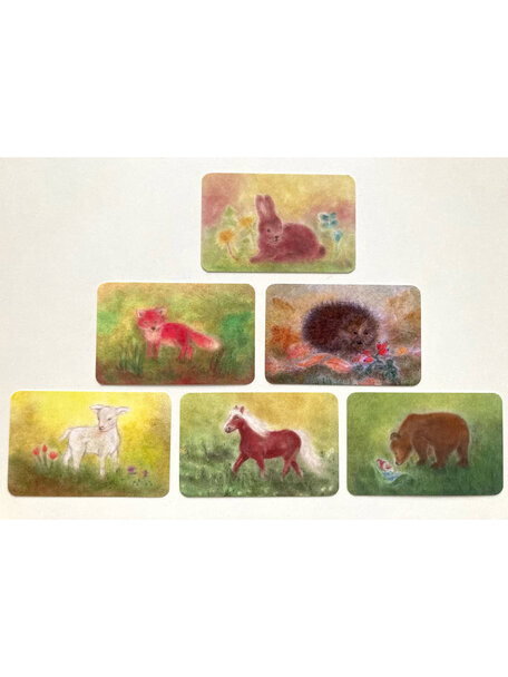 Seccorell Animal cards set - 6 pieces