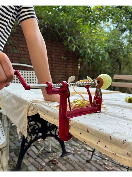 Kids at work Apple peeler