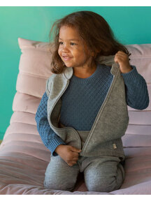 Disana Boiled wool vest - grey