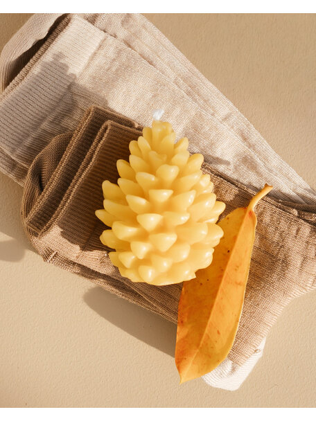De Muisjes Beeswax candle - pine cone