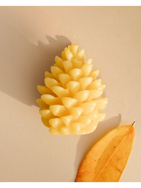 De Muisjes Beeswax candle - pine cone
