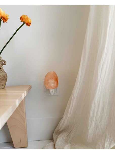 Himalayazout Himalayan salt lamp - night lamp