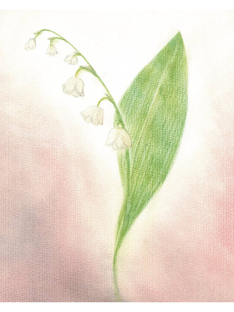 Seccorell Postcard - lily of the valley