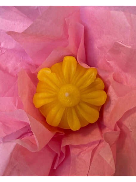 De Muisjes Flower festival beeswax candles