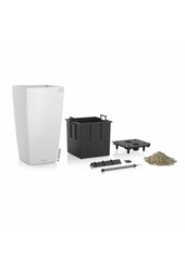 Sansevieria Cylinder Zelfwatergevende Alto