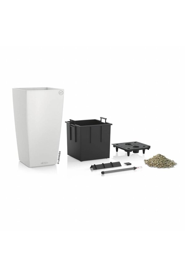 Sansevieria Cylinder Zelfwatergevende Alto