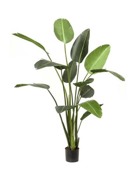 voor Instrument Decoratie Kunstplanten kopen? | Hoogwaardige kwaliteit nep planten - Fleurdirect