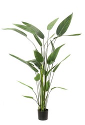 Heleconia L kunstplant