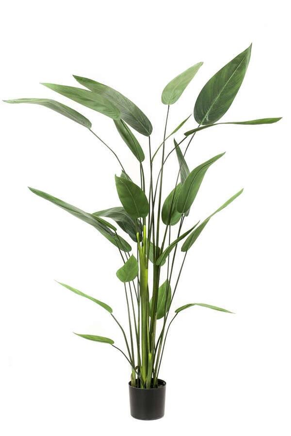 Heleconia L kunstplant