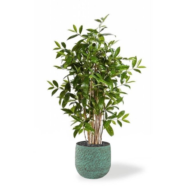 Kunstplant Dracaena in Evi Pot