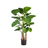 Kunstplant Alocasia in Rattan