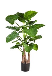 Kunstplant Alocasia in Rattan