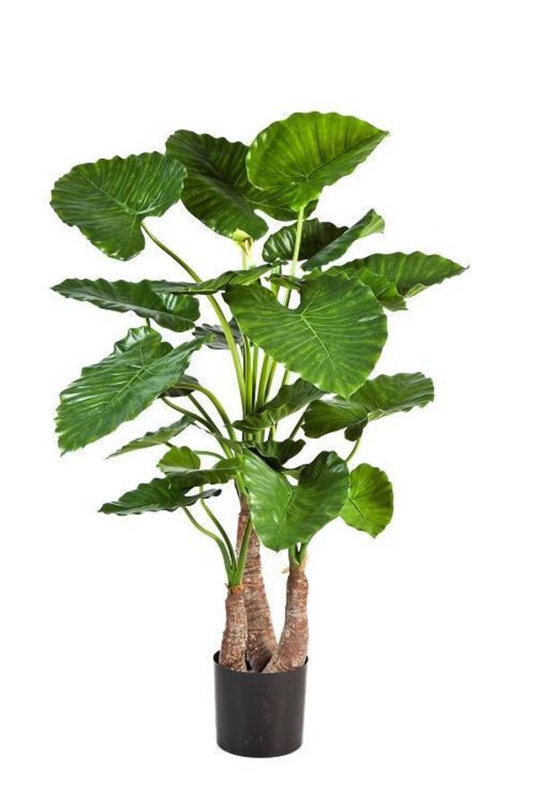 Kunstplant Alocasia in Rattan