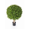 Kunstplant Buxus in Elho Pure Soft