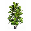 kunstplant Ficus lyrata in Pure Rond S