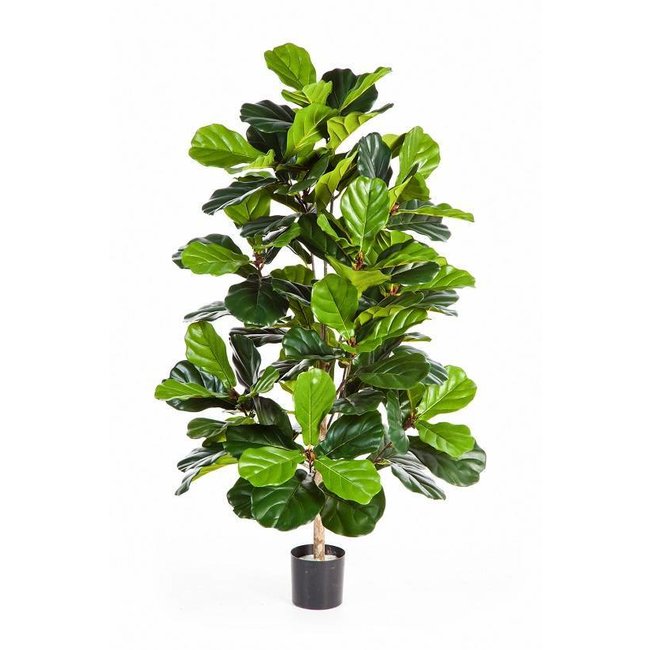 kunstplant Ficus lyrata in Pure Rond S