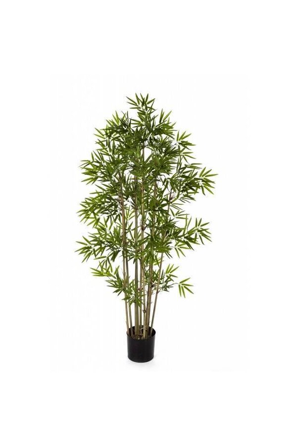 Kunstplant Bamboe in Pure Rond S