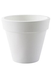 Kunstplant Polyscias in Pure Rond S