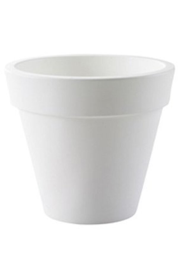 Kunstplant Polyscias in Pure Rond S