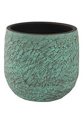 Kunstplant Dracaena in Evi Pot