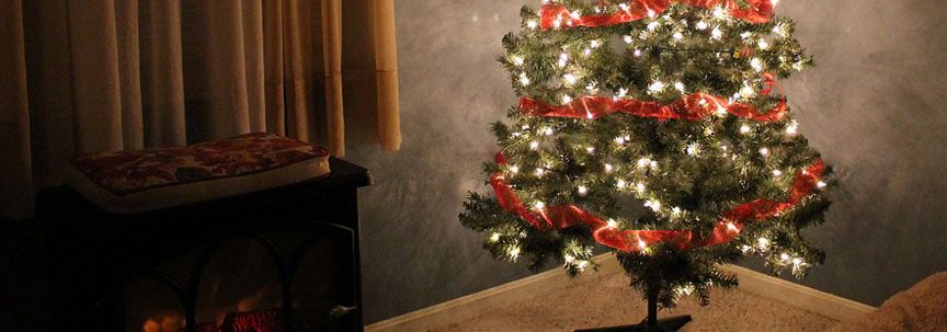 Vervang uw kerstboom door luchtzuiverende planten 