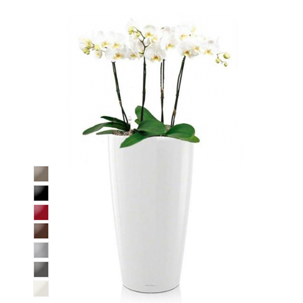 Leeg de prullenbak reinigen Doe herleven Orchideeën in zelfwatergevende pot wit kopen? | Fleurdirect.nl - Fleurdirect