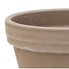 Grigio Terracotta Bloempot 31