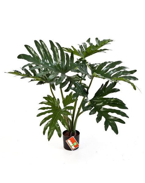 Kunstplant