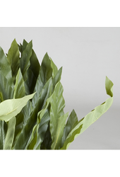 kunstplant Calathea