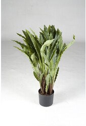 kunstplant Calathea