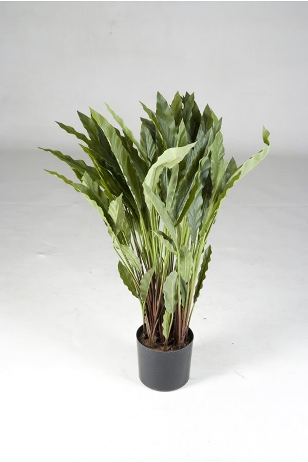 kunstplant Calathea