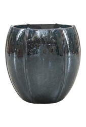 Ocean Blue Emperor XXL