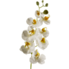 Phalaenopsis wit kunstbloem