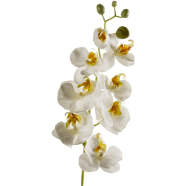 Phalaenopsis wit kunstbloem