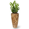 Hydroplant Zamioculcas in Jenga pot