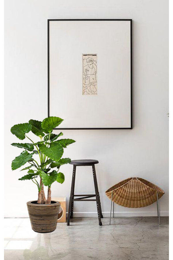 Kunstplant Alocasia in Rattan
