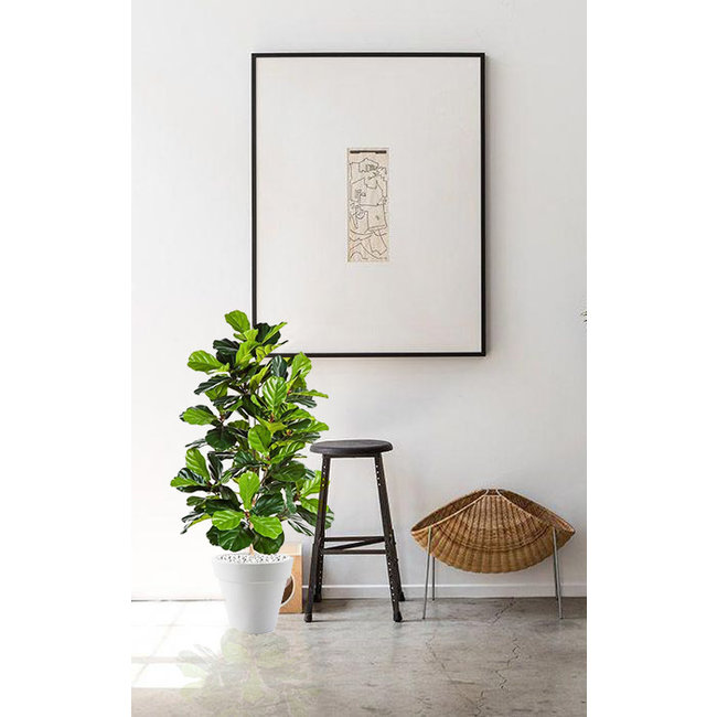 kunstplant Ficus lyrata in Pure Rond S