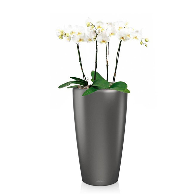 Orchideeën in zelfwatergevende pot wit kopen? Fleurdirect.nl