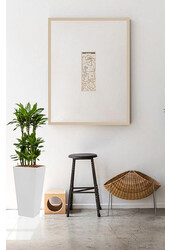 Dracaena Janet in Zelfwatergevende Runner