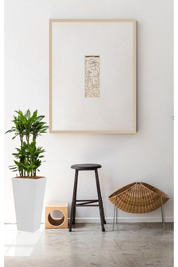 Dracaena Janet in Zelfwatergevende Runner