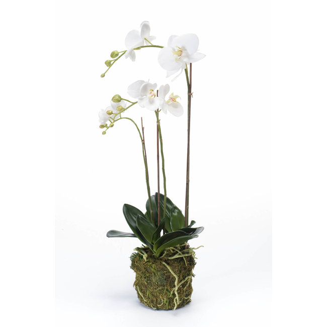 Orchidee wit kunstplant