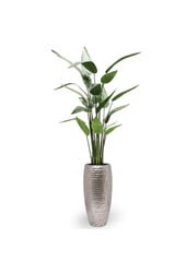 Kunstplant Heleconia in Gehamerd Zilver