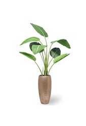 Kunstplant Strelitzia in Gehamerd koper