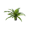 Asplenium fern kunstplant