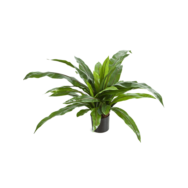 Asplenium fern kunstplant