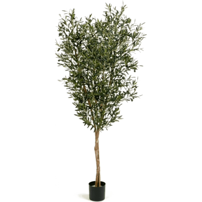 Natural olive M kunstplant