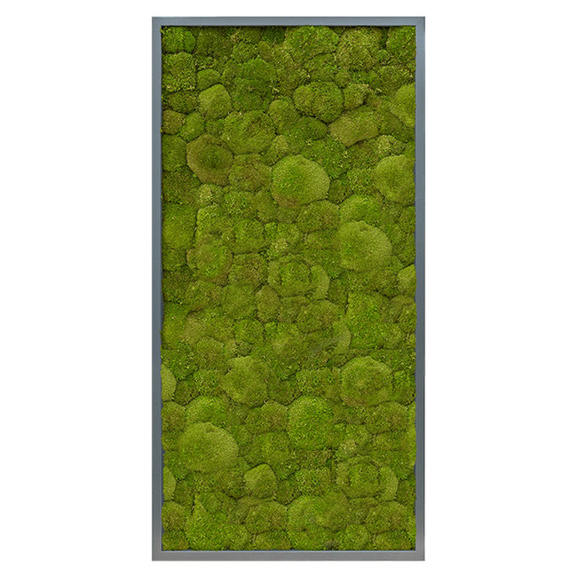 Plantenschilderij Donker grijs  frame XXL