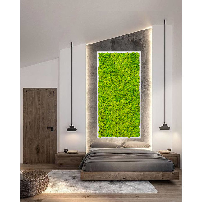 Plantenschilderij Wit frame XXL