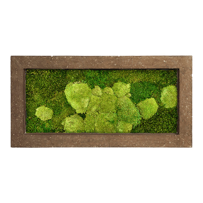 Plantenschilderij Donker Stone  frame M